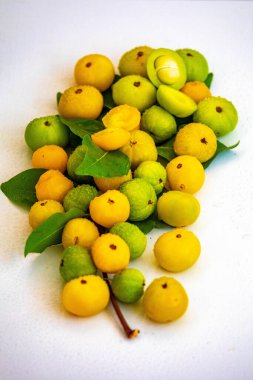 Manolyopsida sınıfından ve Myrtaceae ailesinden cagaita (Stenocalyx dysentericus) olarak bilinen Brezilya cerrado biyologundan olgun, yenilebilir yabani meyve..