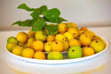 Manolyopsida sınıfından ve Myrtaceae ailesinden cagaita (Stenocalyx dysentericus) olarak bilinen Brezilya cerrado biyologundan olgun, yenilebilir yabani meyve..