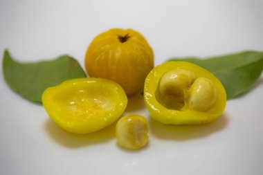 Manolyopsida sınıfından ve Myrtaceae ailesinden cagaita (Stenocalyx dysentericus) olarak bilinen Brezilya cerrado biyologundan olgun, yenilebilir yabani meyve..