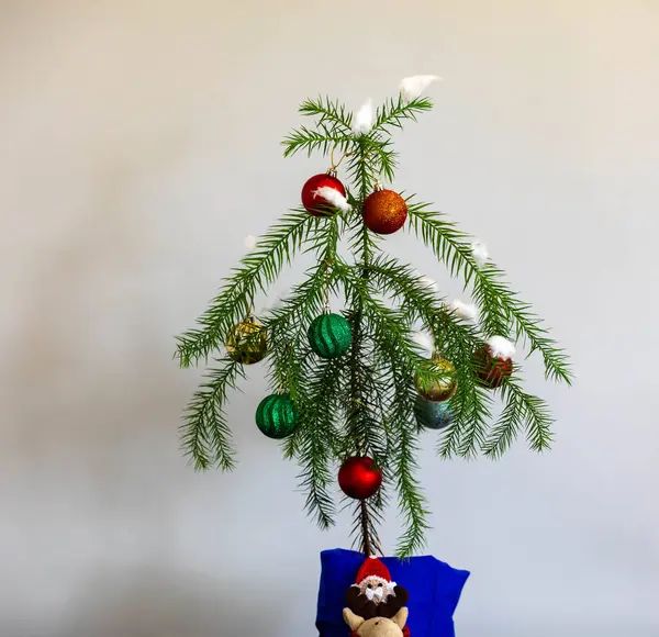 Geleneksel yılbaşı ağacı. Dünyadaki en küçük ve en basit Noel ağacı.