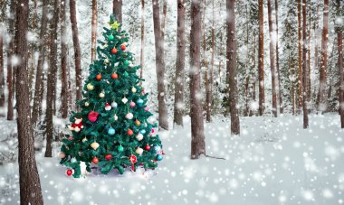 Süslü yılbaşı ağacıyla harika bir Noel sahnesi