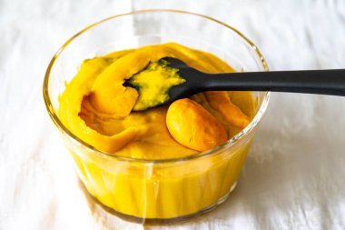 Geleneksel ve egzotik Brezilya yemeği pilav, tavuk ve pequi (caryocar brasileinse) 