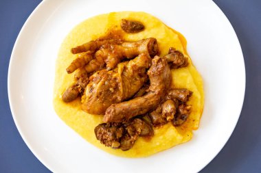 Geleneksel ve kırsal Brezilya yemeği, polentalı tavuk. Gerçek yemek.