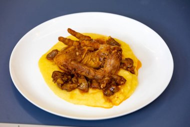 Geleneksel ve kırsal Brezilya yemeği, polentalı tavuk. Gerçek yemek.