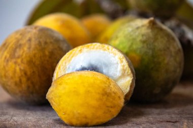 Curriola (Pouteria ramiflora) Brezilya Cerrado Biomu 'ndan yabani meyve