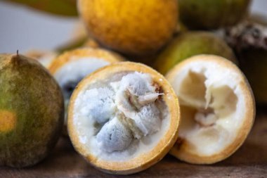Curriola (Pouteria ramiflora) Brezilya Cerrado Biomu 'ndan yabani meyve