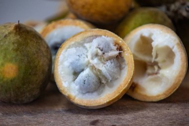 Curriola (Pouteria ramiflora) Brezilya Cerrado Biomu 'ndan yabani meyve