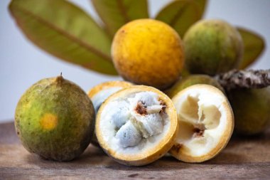 Curriola (Pouteria ramiflora) Brezilya Cerrado Biomu 'ndan yabani meyve