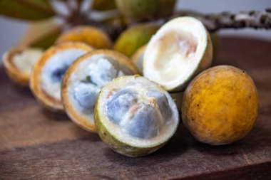 Curriola (Pouteria ramiflora) Brezilya Cerrado Biomu 'ndan yabani meyve