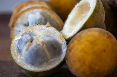 Curriola (Pouteria ramiflora) Brezilya Cerrado Biomu 'ndan yabani meyve