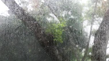 Dışarıda tropikal bir orman olan pencere camında yağmurun rahatlatıcı ve rahat manzarası.