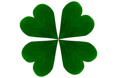 Arkaplanda dört yapraklı yonca izole edilmiş