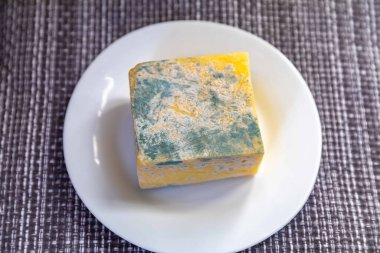 Yeşil mantarlı eski küflü peynir.