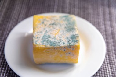 Yeşil mantarlı eski küflü peynir.