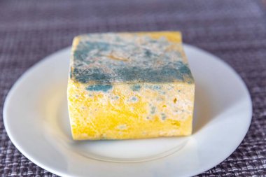 Yeşil mantarlı eski küflü peynir.