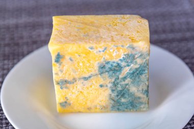 Yeşil mantarlı eski küflü peynir.