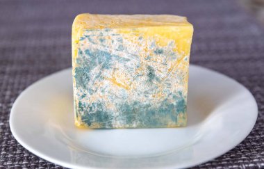 Yeşil mantarlı eski küflü peynir.