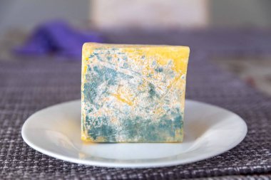 Yeşil mantarlı eski küflü peynir.