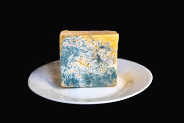 Yeşil mantarlı eski küflü peynir.