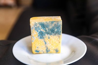 Yeşil mantarlı eski küflü peynir.