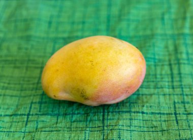Üniformalı arka planda izole edilmiş olgun Rosa Mango. Brezilya meyvesi ve yiyeceği