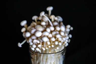 Enokitake olarak bilinen Enoki mantarı Flammulina velutipes, doğu mutfağında yaygın olarak kullanılan bir çeşitliliktir..