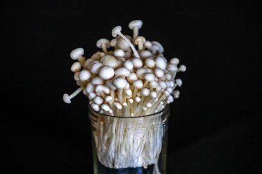 Enokitake olarak bilinen Enoki mantarı Flammulina velutipes, doğu mutfağında yaygın olarak kullanılan bir çeşitliliktir..