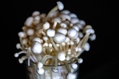 Enokitake olarak bilinen Enoki mantarı Flammulina velutipes, doğu mutfağında yaygın olarak kullanılan bir çeşitliliktir..