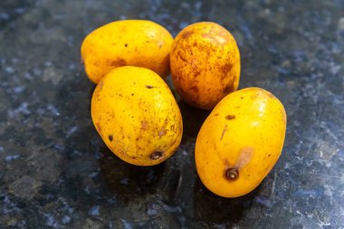 Spondias dulcis, Anacardiaceae familyasının Caj-manga, caj, cajarana, tapereb-do-serto ve caj-ano adlarıyla bilinen bir türü..