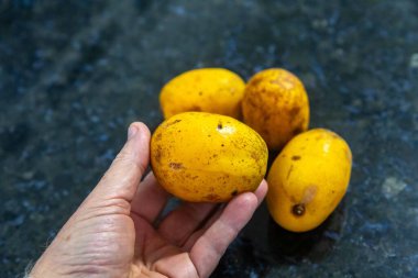 Spondias dulcis, Anacardiaceae familyasının Caj-manga, caj, cajarana, tapereb-do-serto ve caj-ano adlarıyla bilinen bir türü..