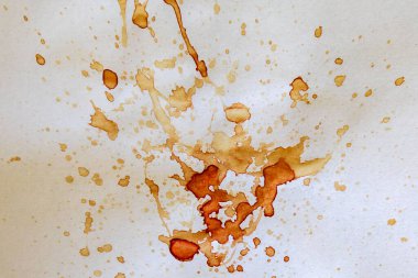 Kan lekelerinin hidrojen peroksitle tanımlanması için adli tıp testi. bilimsel polis