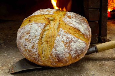 Doğal mayalanma, gerçek yiyecek, atadan kalma, klasik ve ev yapımı zanaatkar yiyeceği olan kırsal ekşi ekmek.