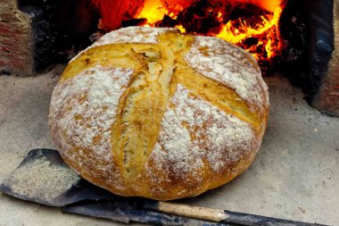 Doğal mayalanma, gerçek yiyecek, atadan kalma, klasik ve ev yapımı zanaatkar yiyeceği olan kırsal ekşi ekmek.