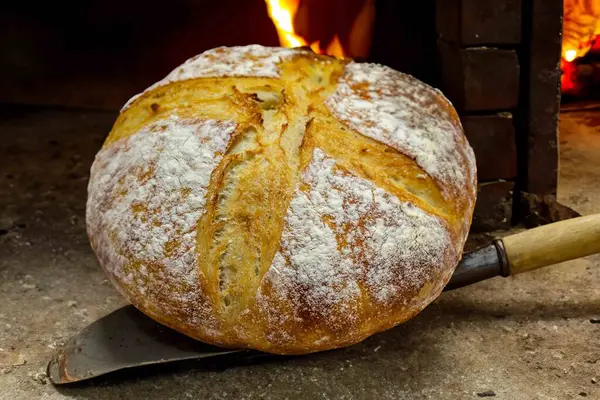 Doğal mayalanma, gerçek yiyecek, atadan kalma, klasik ve ev yapımı zanaatkar yiyeceği olan kırsal ekşi ekmek.