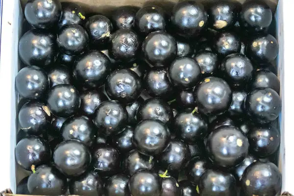 Güzel ve sulu Jabuticaba meyveleri ince detaylarıyla