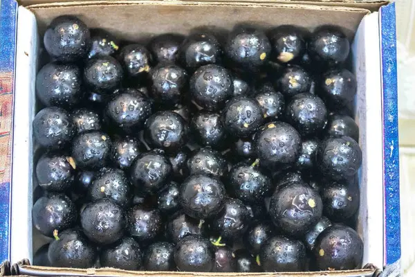 Güzel ve sulu Jabuticaba meyveleri ince detaylarıyla