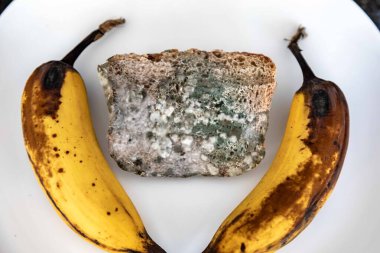 Şımarık, eski küflü yiyecekler beyaz yuvarlak tabakta.