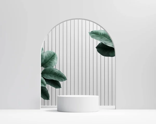 3D rendering platform podium with plant product presentation background