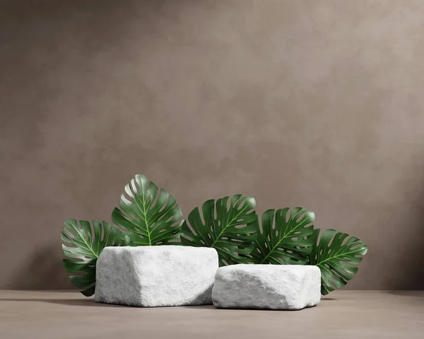 3D rendering platform podium with monstera plant product presentation background
