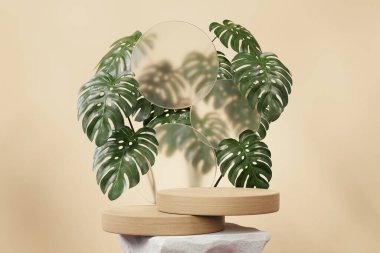 3D soyut platform ahşap podyum ve canavar bitki ürünü sunumu sunumu