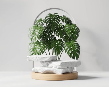 3D soyut rock platformu podyumu ve canavar bitki ürünü sunumu