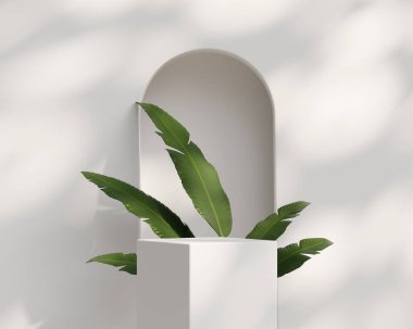 Tropikal bitki ürün sunum arkaplanlı 3B sunucu beyaz platform podyumu