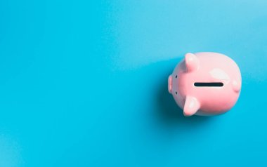 pink piggy bank resting on blue background, financial and banking, Fund growth and savings, real estate concept