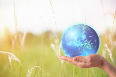 Earth globe in hands. World environment day.green earth concept ,Ecology or eco friendly business,Elements of this image furnished by NASA