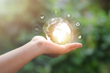 environmental conservation concept, protecting and preserving resources, planting trees to reduce global warming, using renewable energy, preserving natural forests,icon in hand, nature background