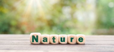 environmental conservation concept, protecting and preserving resources, planting trees to reduce global warming, using renewable energy, preserving natural forests,wooden blocks are placed on table.