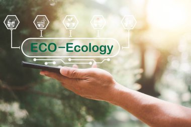 environmental conservation concept, protecting and preserving resources,planting trees to reduce global warming, using renewable energy, preserving natural forests,smartphone in man's hand