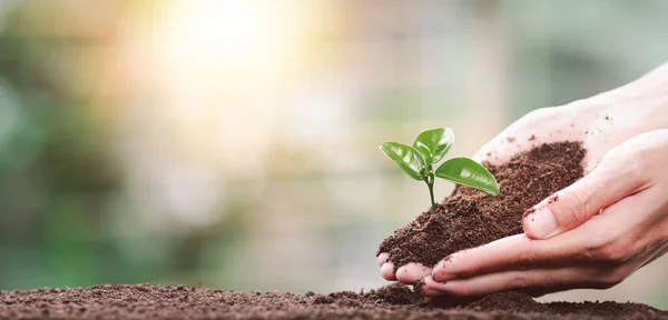 Ağaç dikme küresel ısınma, önleme ve tedavi hava kirliliği, Çevre ve Ekolojik Kampanya, Yeşil Enerji yeniliği ve çevre dostu enerji teknolojisini azaltarak dünyayı kurtarıyor
