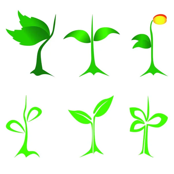 Beyaz Arka Planda Yeşil Ağaç Yaprakları Bitkilerin Çeşitli Şekilleri Logo — Stok Vektör