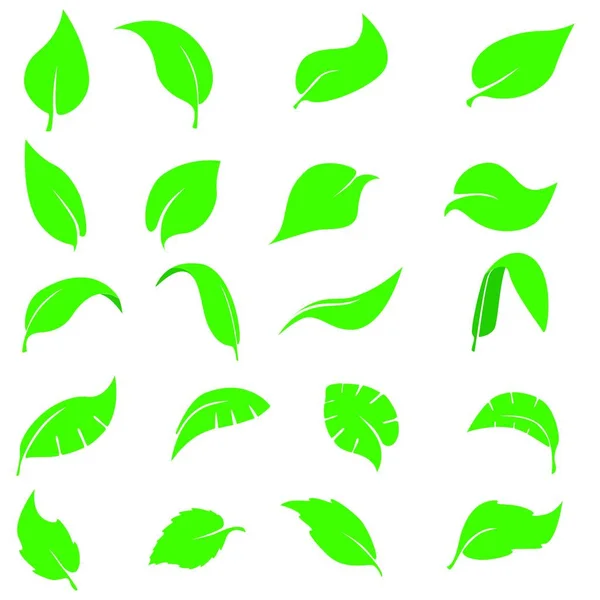葉のエコまたはバイオロゴのアイコンセット ベクトル白い背景の緑の葉の形 — ストックベクタ